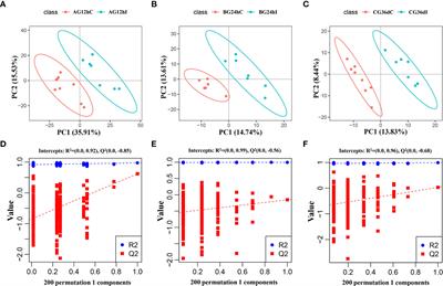 Lipidomic changes in the liver of beagle dogs associated with Toxocara canis infection